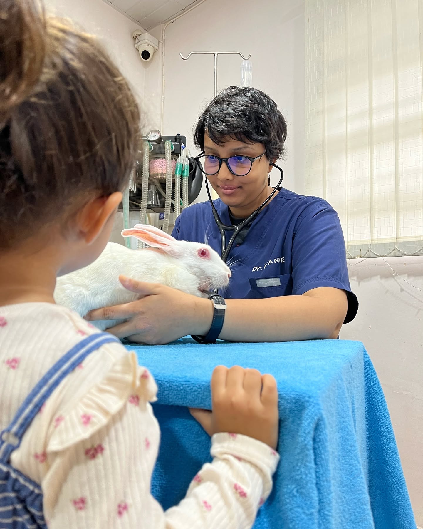 A veterinarian examining a rabbit with a young pet parent at the clinic