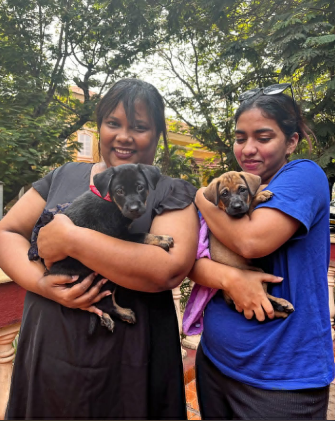 Two puppies held by clinic staff outside the practice in Panjim