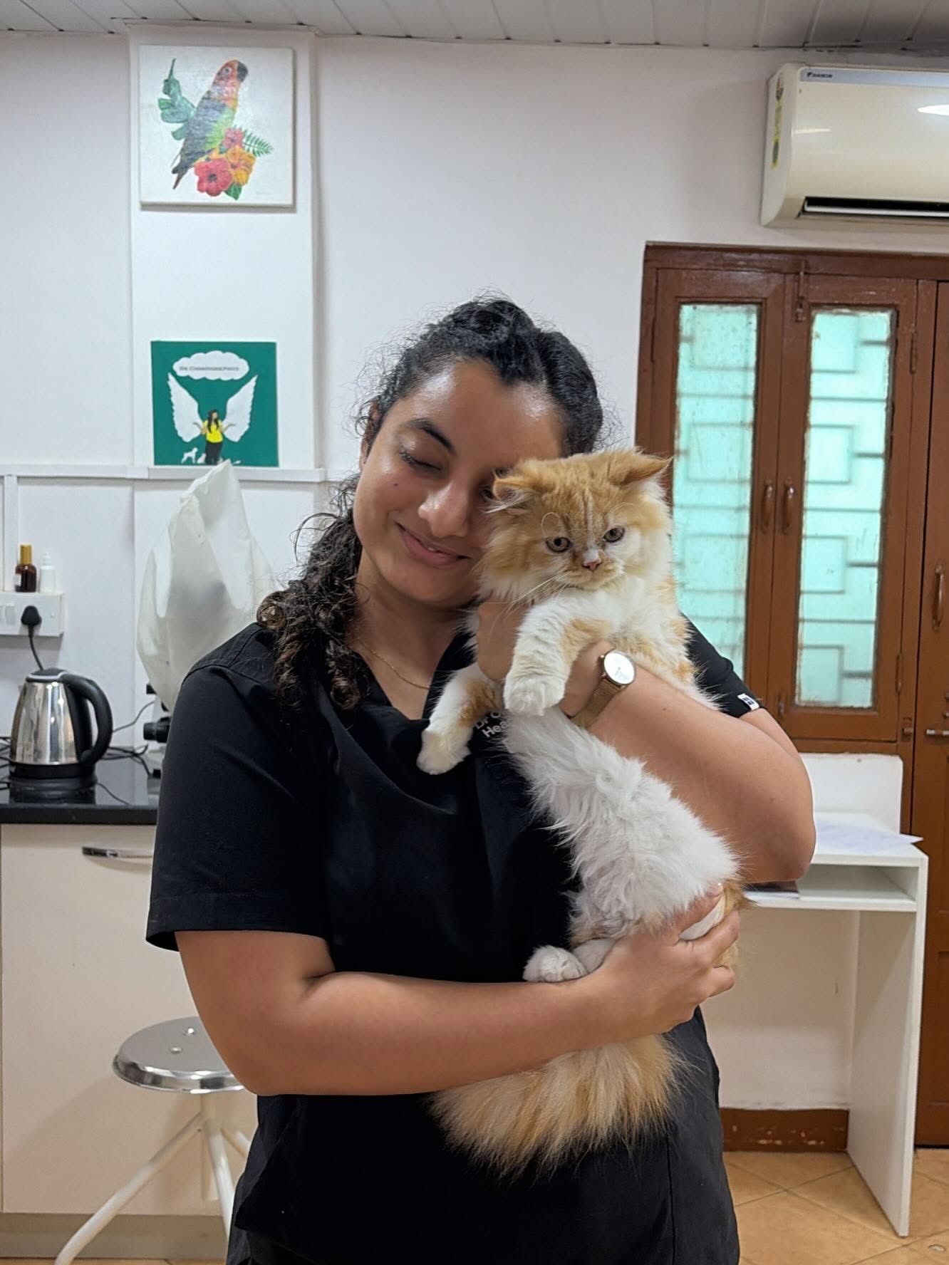 Dr Charmaine holding a calm long-haired cat in the consultation room of the clinic in Panjim, Goa